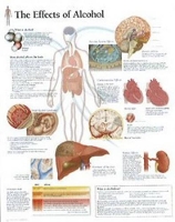 Book Cover for Effects of Alcohol Laminated Poster by Scientific Publishing