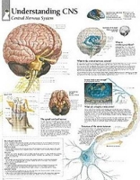 Book Cover for Understanding CNS Paper Poster by Scientific Publishing