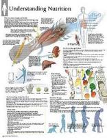 Book Cover for Understanding Nutrition Laminated Poster by Scientific Publishing