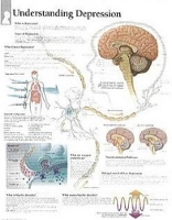 Book Cover for Understanding Depression Laminated Poster by Scientific Publishing