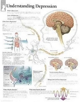 Book Cover for Understanding Depression Paper Poster by Scientific Publishing