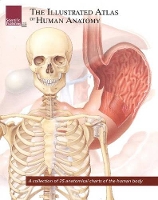 Book Cover for Illustrated Atlas of Human Anatomy by Scientific Publishing