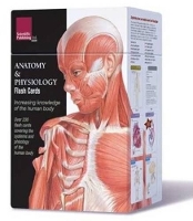 Book Cover for Anatomy & Physiology Flash Cards by Scientific Publishing