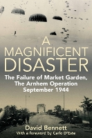 Book Cover for A Magnificent Disaster by David Bennett