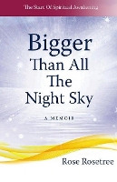 Book Cover for Bigger Than All The Night Sky by Rose Rosetree