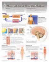 Book Cover for Homeostatis & Heat Regulation Laminated Poster by Scientific Publishing