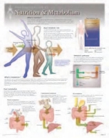 Book Cover for Nutrition & Metabolism Laminated Poster by Scientific Publishing