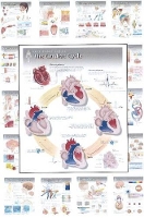 Book Cover for Complete Set of All 20 Physiology Charts by Scientific Publishing