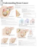 Book Cover for Understanding Breast Cancer Paper Poster by Scientific Publishing