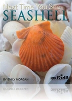 Book Cover for Next Time You See a Seashell by Emily Morgan