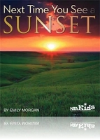 Book Cover for Next Time You See a Sunset by Emily Morgan