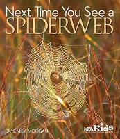 Book Cover for Next Time You See a Spiderweb by Emily Morgan