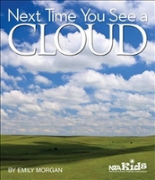 Book Cover for Next Time You See a Cloud by Emily Morgan