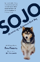 Book Cover for Sojo by Pam Flowers