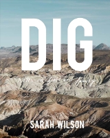 Book Cover for DIG by Sarah Wilson