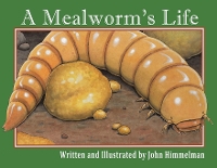 Book Cover for A Mealworm's Life by John Himmelman