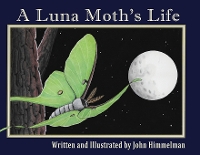 Book Cover for A Luna Moth's Life by John Himmelman