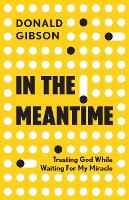 Book Cover for In the Meantime by Donald Gibson