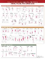 Book Cover for Travell, Simons & Simons’ Trigger Point Pain Patterns Wall Chart by Anatomical Chart Company