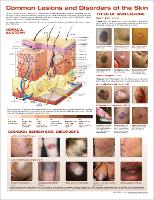 Book Cover for Common Lesions and Disorders of the Skin Anatomical Chart by Anatomical Chart Company