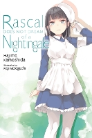 Book Cover for Rascal Does Not Dream, Vol. 11 (light novel) by Hajime Kamoshida, Keji Mizoguchi