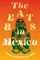 Book Cover for The Beats in Mexico by David Stephen Calonne