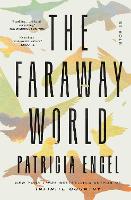 Book Cover for The Faraway World by Patricia Engel