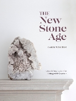 Book Cover for The New Stone Age by Carol Woolton