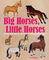 Book Cover for Big Horses, Little Horses by Jim Medway