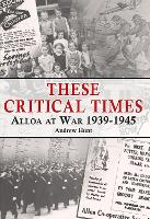 Book Cover for These Critical Times by Andrew Hunt