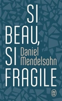 Book Cover for Si beau, si fragile by Daniel Mendelsohn