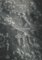 Book Cover for Ground Noise by Céline Clanet, Jérôme Sueur