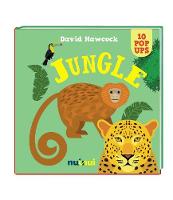 Book Cover for Jungle by David Hawcock