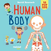 Book Cover for Human Body by David Hawcock