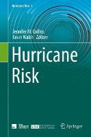Book Cover for Hurricane Risk by Jennifer M. Collins