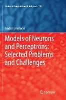 Book Cover for Models of Neurons and Perceptrons: Selected Problems and Challenges by Andrzej Bielecki