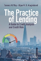 Book Cover for The Practice of Lending by Terence M. Yhip, Bijan M. D. Alagheband