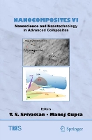 Book Cover for Nanocomposites VI: Nanoscience and Nanotechnology in Advanced Composites by T. S. Srivatsan