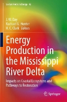 Book Cover for Energy Production in the Mississippi River Delta by J W Day