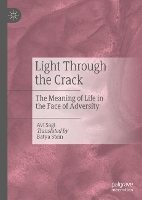 Book Cover for Light Through the Crack by Avi Sagi