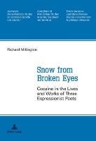 Book Cover for Snow from Broken Eyes by Richard Millington