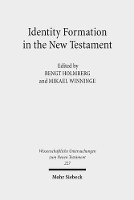 Book Cover for Identity Formation in the New Testament by Bengt Holmberg