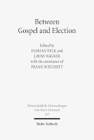 Book Cover for Between Gospel and Election by Frank Schleritt