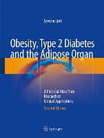 Book Cover for Obesity, Type 2 Diabetes and the Adipose Organ by Saverio Cinti