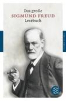 Book Cover for Das grosse Lesebuch by Sigmund Freud