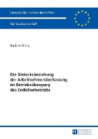 Book Cover for Die Dreiecksbeziehung der Arbeitnehmerueberlassung im Betriebsuebergang des Entleiherbetriebs by Nadine Uhlig