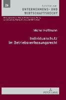 Book Cover for Individualschutz Im Betriebsverfassungsrecht by Michel Hoffmann