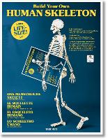 Book Cover for Build Your Own Human Skeleton by Taschen