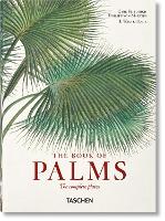 Book Cover for Martius. The Book of Palms. 40th Ed. by H. Walter Lack