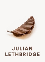 Book Cover for Julian Lethbridge by Robert Storr